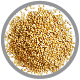 Hydrolyzed Quinoa Icon| Hot Like Me Haircare