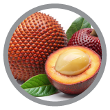Mauritia Flexousa Icon| Hot Like Me Haircare