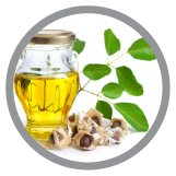 Moringa Oleifera Icon| Hot Like Me Haircare