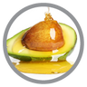 Avocado Oil