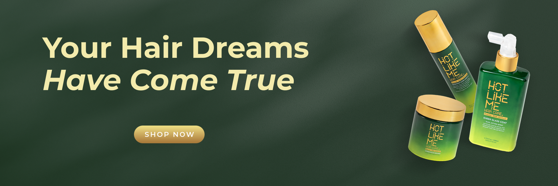 Hot Like Me Hair care products with 'Your Hair Dreams Have Come True' text on a green background