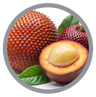 Mauritia Flexuosa Oil (Buriti Oil)